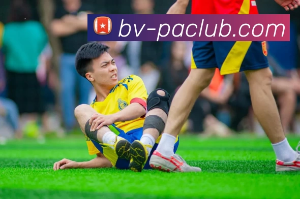 PA体育模拟器发展历程